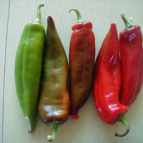 Chili <br>'Anaheim'<br><i>Capsicum annuum</i>