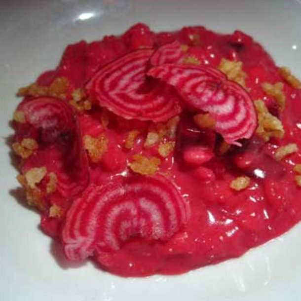 Rdbede <br>'Chioggia'<br><i>Beta vulgaris</i>