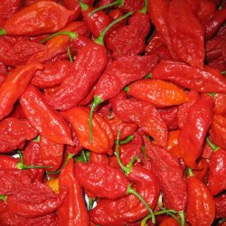 Chili 'Bhut Jolokia' <br><i>Capsicum chinense/frutescens</i>