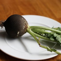 Rddike <br>'Round Black' <br><i>Raphanus sativus</i>