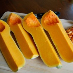 Squash, Butternut- <br>'Waltham' F1<br>moskusgrskar<br><i>Cucurbita moschata</i>