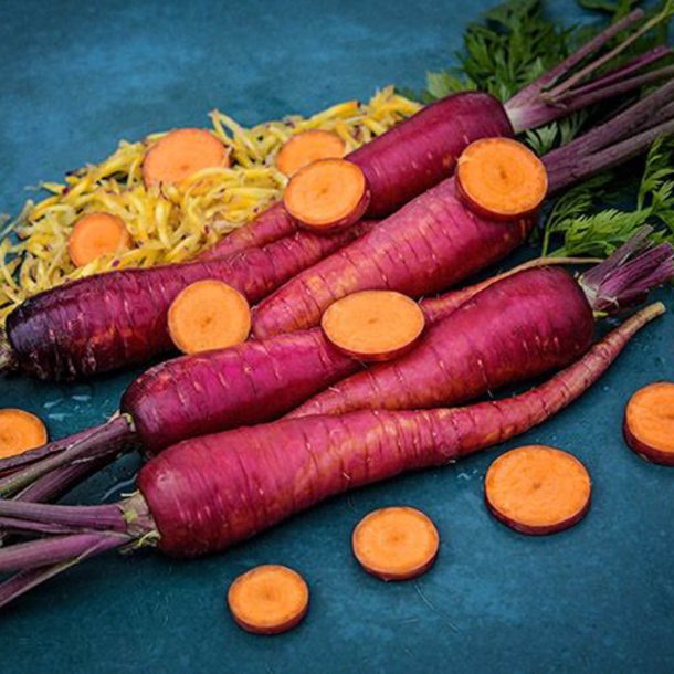 Gulerod <br>'Purple Dragon' <br><i>Daucus carota var. sativus</i>
