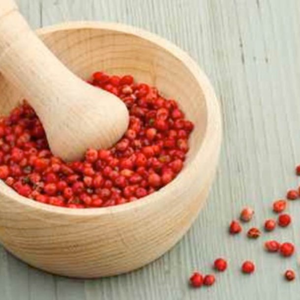 Chili 'Tepin' <br><i>Capsicum annuum var. glabriusculum </i>