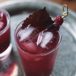 Perilla, Shiso <br>'Red' <br><i>Perilla frutescens</i>