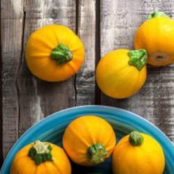 Courgette, squash, zucchini<br>'One Ball' F1 <br><i>Cucurbita pepo</i>