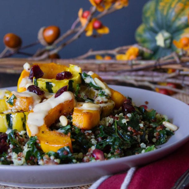 Grskar <br>'Cornells Bush Delicata' <br><i>Cucurbita pepo</i>