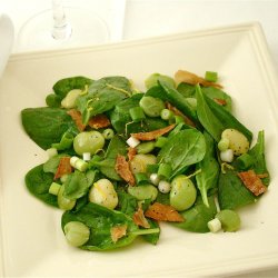 Limabnne, Butterbean<br>'King of Garden' <br><i>Phaseolus lunatus</i>