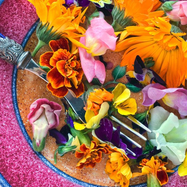 Spiselig <br>blomsterblanding<br><br>