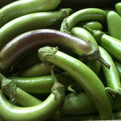 Aubergine <br>'Louisiana Long Green'<br> <i>Solanum melongena</i>