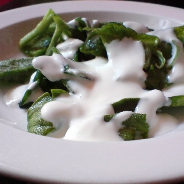 Isplante, ismiddagsblomst <br><i>Mesembryanthemum crystallinum</i>