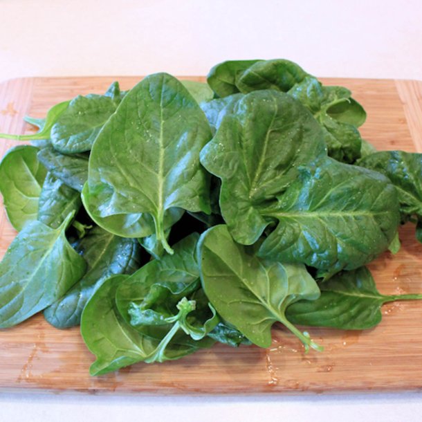 Spinat <br>'Giant Winter' <br><i>Spinacia oleracea</i>
