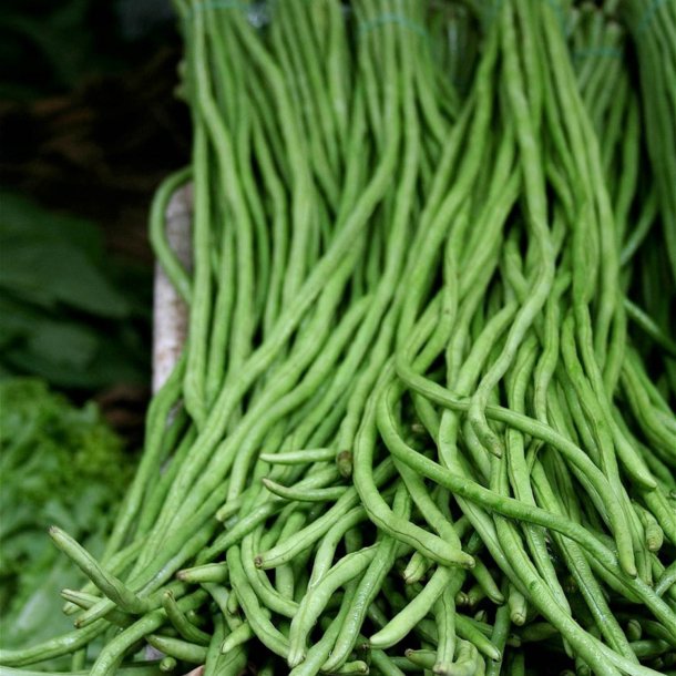 Meterbnne, <br>spaghettibnne<br><i>Vigna unguiculata ssp. sesquipedalis</i>