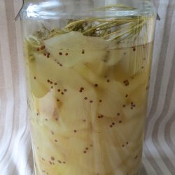 Agurk, Asie- <br>'Fatum' <br><i>Cucumis sativus</i><br>