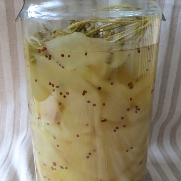 Agurk, Asie- <br>'Fatum' <br><i>Cucumis sativus</i><br>