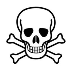 Paternoster-<br>bnne <br><i>Abrus precatorius</i>