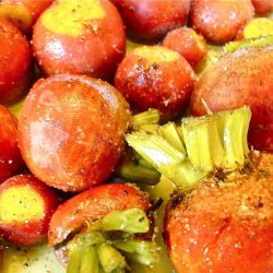 Rdbede<br>'Orange Golden'<br><i>Beta vulgaris</i>