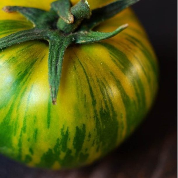 Tomat <br>'Green Zebra'<br><i>Lycopersicon esculentum</i>