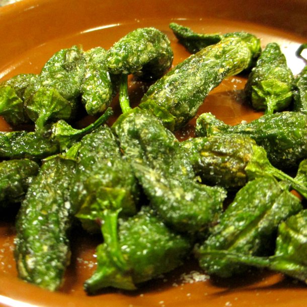 Pimientos de Padron - <br>Peber<br><i>Capsicum annuum </i>