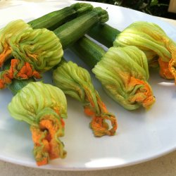 Courgette, squash, zucchini<br>'Black Beauty'<br><i>Cucurbita pepo</i>