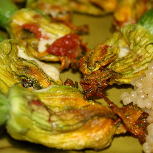 Courgette, squash, zucchini<br>'Black Beauty'<br><i>Cucurbita pepo</i>