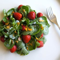 Portulak, Sommer- <br>'Green Purslane' <br><i>Portulaca oleracea</i>