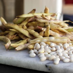 Bnne <br> 'Coco de Paimpol' <br><i>Phaseolus vulgaris L.</i>