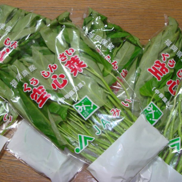 Vandspinat, <br> Entsai <br><i>Ipomoea aquatica</i><br>