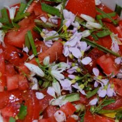 Engkarse<br><i>Cardamine pratensis</i><br><br>