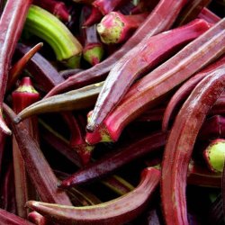 Okra <br>'Red Burgundy' <br><i>Abelmoschus esculentus</i>