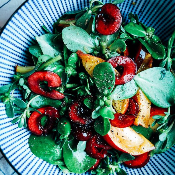 Portulak, Sommer- <br>'Green Purslane' <br><i>Portulaca oleracea</i>