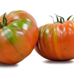Tomat <br>RAF 'Delizia' F1 <br><i>Lycopersicon esculentum</i>