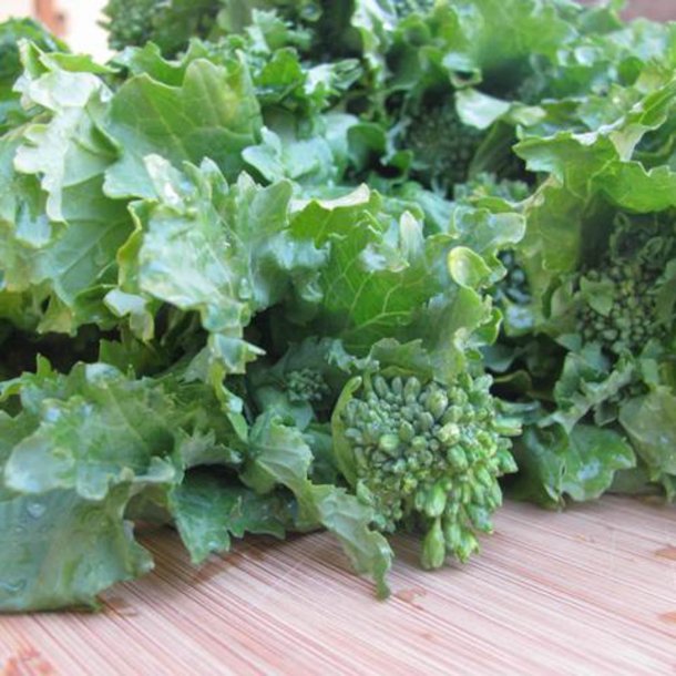 Rapini, <br>Cime di rapa<br>'Novantina'<br><i> Brassica rapa var. cymosa</i>