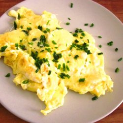 Purlg <br><i>Allium schoenoprasum </i><br><br>