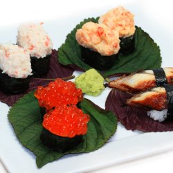 Perilla, Shiso <br>'Red' <br><i>Perilla frutescens</i>