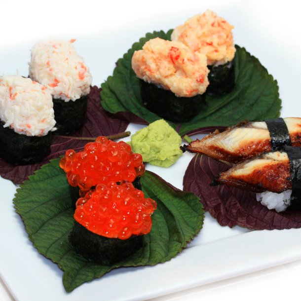 Perilla, Shiso <br>'Red' <br><i>Perilla frutescens</i>