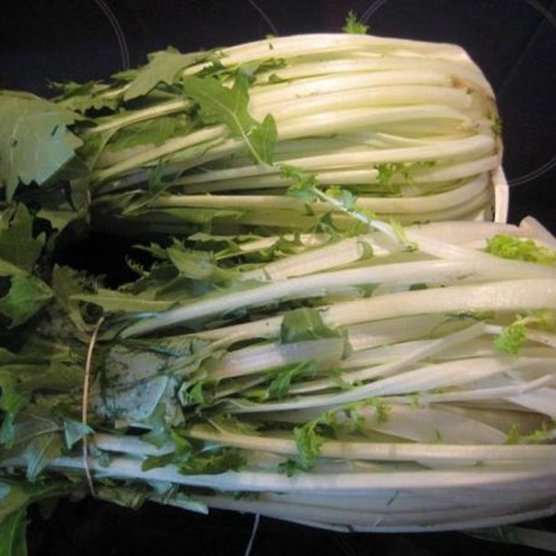 Namenia,  <em>Stielmus</em><br><i>Brassica rapa var. nipposinica</i>