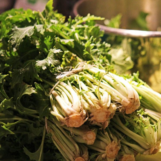 Namenia,  <em>Stielmus</em><br><i>Brassica rapa var. nipposinica</i>