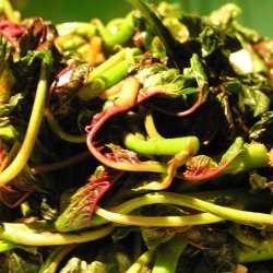 Amarant, Kinesisk <br>Callaloo, Kinesisk spinat <br><i>Amaranthus tricolor</i>