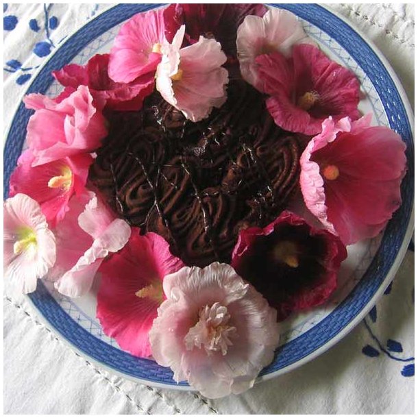 Stokrose <br>'Mix' <br><i>Alcea rosea </i><br>