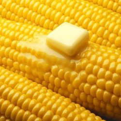 Majs, Sukker- <br>'Tasty Sweet' F1 <br><i>Zea mays convar. saccharata</i>