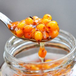 Havtorn <br><i>Hippopha rhamnoides</i><br><br>