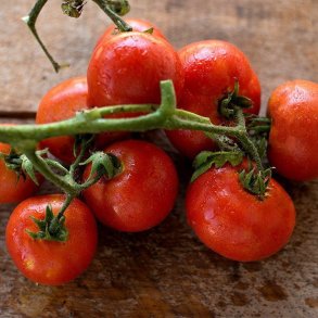 Tomat <br>'Sub Arctic Plenty' <br><i>Lycopersicon esculentum</i>