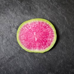Radise <br>'Watermelon' <br><i>Raphanus sativus</i>