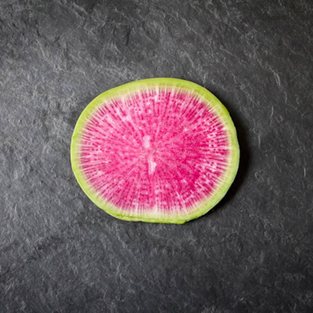 Radise <br>'Watermelon' <br><i>Raphanus sativus</i>
