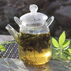 Teranke, Sd <br>Jiaogulan <br><i>Gynostemma pentaphyllum</i>